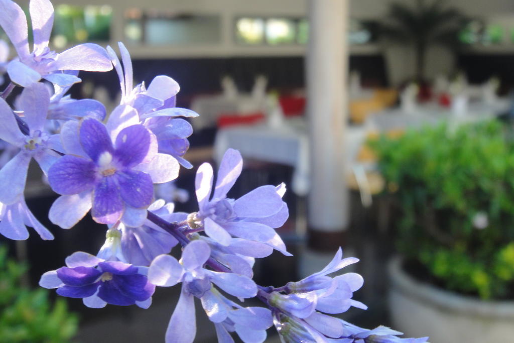 Casa Oniri Hotel Boutique Barichara Ngoại thất bức ảnh